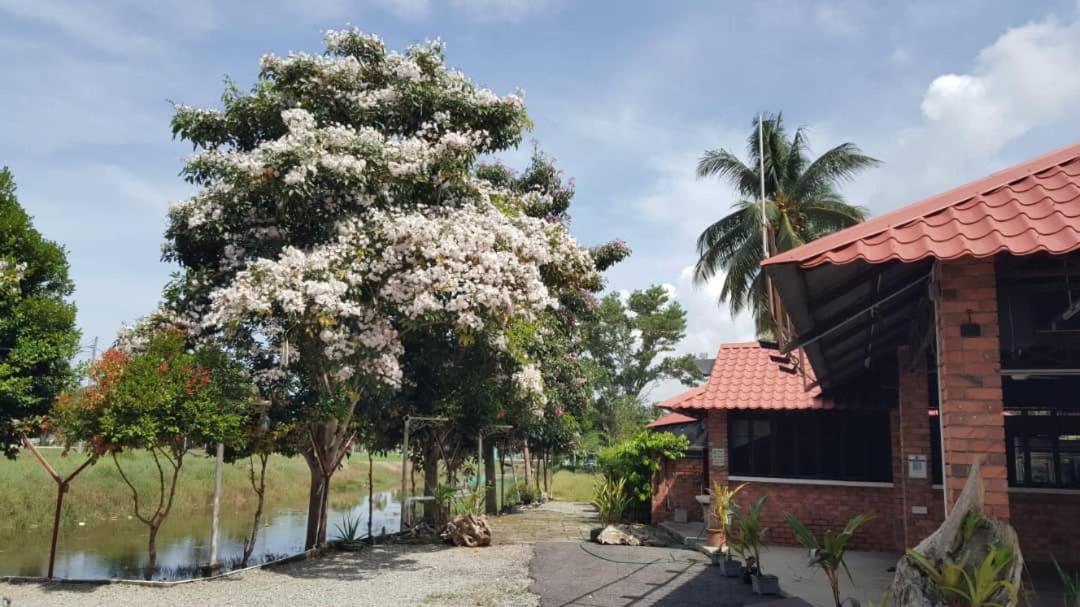 Homestay Umbai Kelana Merlimau Exterior photo